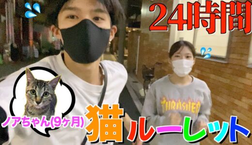 【24時間】猫に行動を全部決められる生活が過酷すぎた…