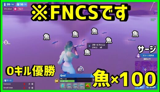 【最強の0キル】FNCS不死の立ち回りでヨーロッパ15位決勝進出!?【フォートナイト解説】