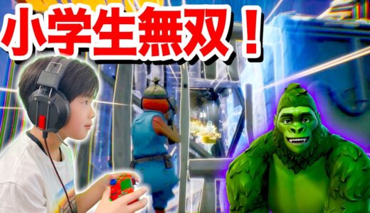 【フォートナイト】小学生無双してビクロイ！スキン縛りチャレンジがまさかの展開に！New BEAST BOY Challenge in Fortnite!