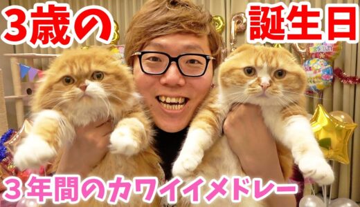まるお&もふこ３歳の誕生日！３年間の全動画のかわいいシーンメドレー！