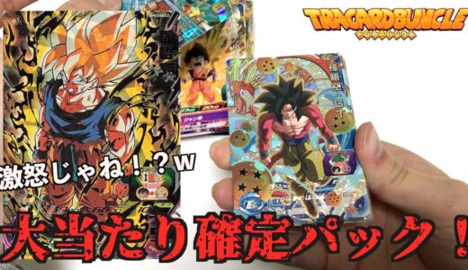 【フェス限】数万円相当の大当たり確定1万円くじ また買ってみた！【SDBH】