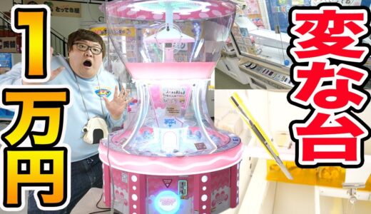 【全種類】１万円で特殊なクレーンゲームを全種類攻略できるまで帰れません!!!