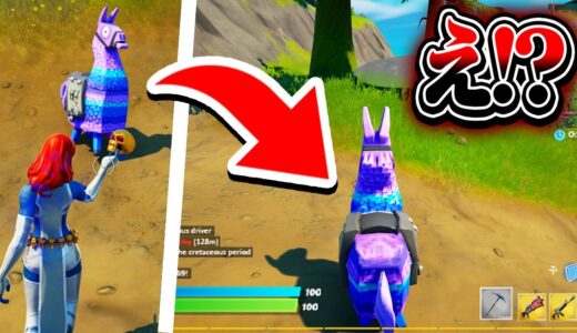 ラマになる方法！？【フォートナイト / Fortnite】
