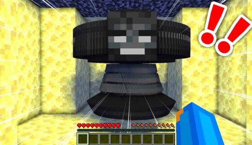 【マイクラ】世界一簡単にウィザーを倒す方法がヤバいwwwすまないクラフト＃４【マインクラフト】【まいくら】