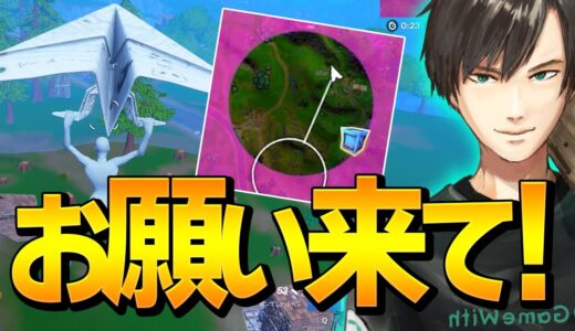 ソロアジア最強をかけた大会最終試合で「パワー全開ネフライト」が大暴れ!!【フォートナイト/Fortnite】