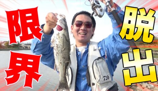 限界YouTuber三度目の正直！！！