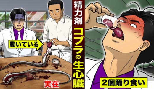 【絶倫】コブラの生心臓を...２コを踊り食い。ベトナムの精力剤。