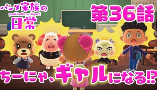【あつ森アニメ】パンダ家族の日常＃36「ちーにゃ、ギャルになる！？」