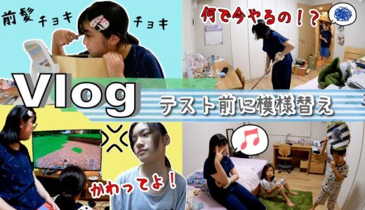★Vlog★なんでテスト前にやるの！？突然はじまる模様替え・・・