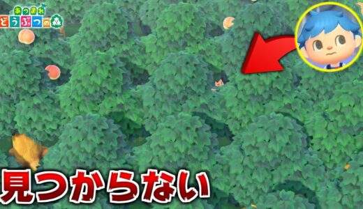 島全体に木しか植えられてない島でかくれんぼしたら無敵説【あつ森】【あつまれどうぶつの森検証】