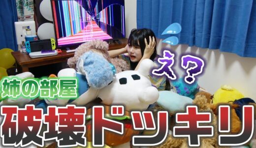 【ドッキリ】お姉ちゃんの部屋を荒らしてみたら、姉がブチギレて大変なことにww