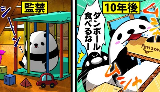【アニメ】教育を全く受けないとどうなるのか？
