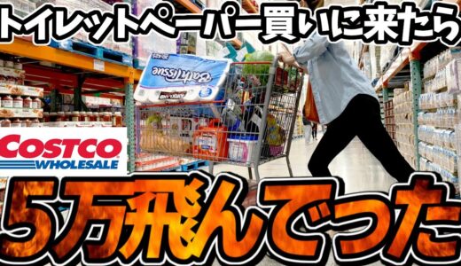 【コストコに行ったら予想の10倍お金使って帰って来た(泣)】恐るべしコストコの罠!!