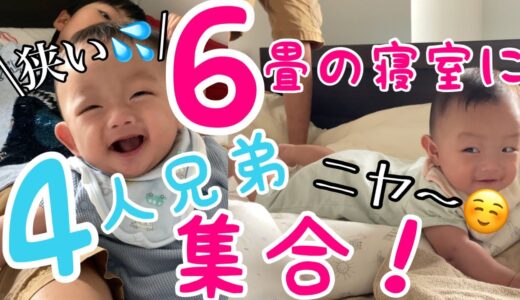【双子まるで王様❗️】とある休日、六畳一間に4人兄弟集合！　/生後5ヶ月3週/赤ちゃん