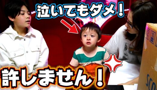 【反抗】「ありがとう」が言えない…3歳 弟にブチギレ！父は絶対許さない！お礼を言うまで遊ばせない…父がいなくなると…