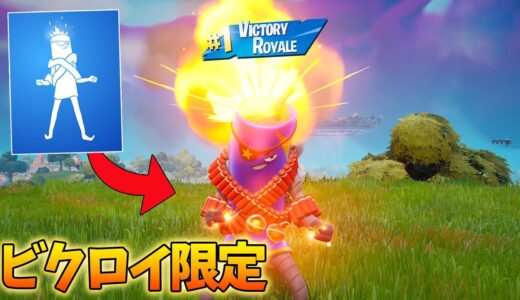 ビクロイした時しかできない ”爆発” エモートがカッコよすぎる！！【フォートナイト】