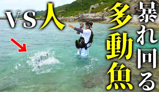 浸水中に超多動魚が掛かり大苦戦ファイト！【伊平屋遠征2021夏 #1】