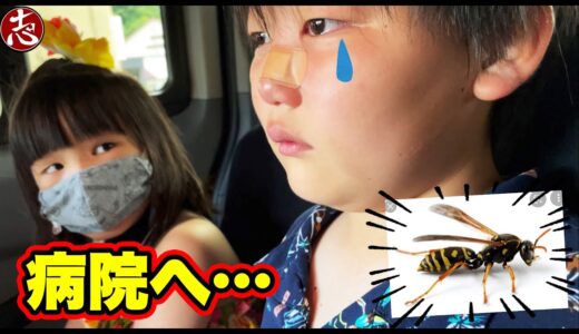 旅行の帰りに志くんが大変なことになりました・・・（トラウマ）