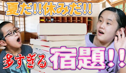 夏休み始まった！！先生の愛情たっぷり宿題が多すぎて炸裂！みんなの所はどのくらいありますか？