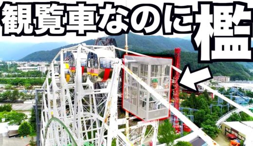 1人だけ乗ってる観覧車が檻になってるドッキリwwwwwww