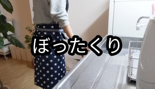 【一人暮らし】久しぶりに来た義妹からの電話に今度は何だ？と嫌な予感しかしなかったアラフィフのVlog