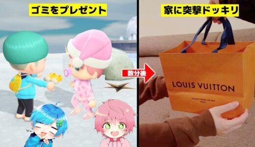てるとくんの誕生日でゴミをプレゼントするフリして急に”家に突撃”してガチのプレゼント渡してみたドッキリwww【あつ森】【実写】