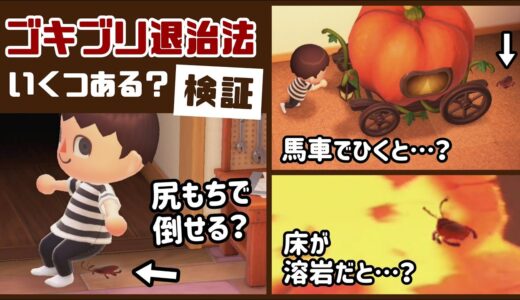 【あつ森】小ネタ検証！ゴキブリの退治方法はいくつある？いろいろ実験してみた集【あつまれ どうぶつの森】@レウンGameTV
