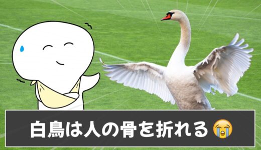 【衝撃】知らない方が良い雑学を調べたら後悔したｗｗ【ツッコミ】【#6】