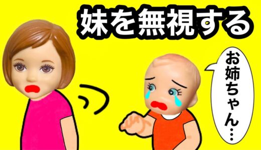 【これから妹を無視します。】１日中サリーの事を無視し続けたら号泣した… お姉ちゃんのケーちゃんがバーベキューで完全無視が辛すぎる…