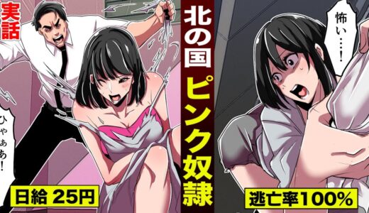 【北の国】サイバーピンク奴隷…日給２５円。逃亡率は100%。