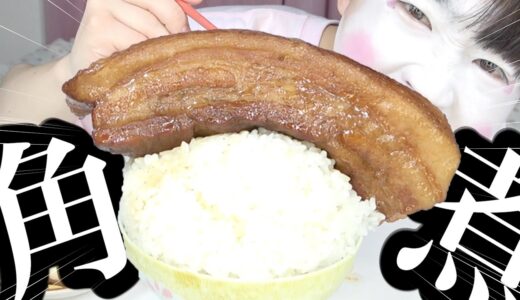 豚の角煮を丸ごとご飯に乗せたら美味すぎて死にかけた【モッパン】