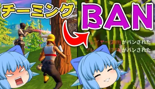 【Fortnite】ザマァｗｗｗチーミングがBANされてて草【天才チルノの珍フォートナイト ゆっくり実況】Part308