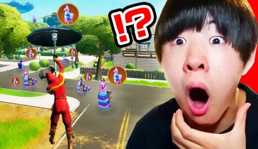 ありえないくらい運が良いんだけど…【フォートナイト / Fortnite】