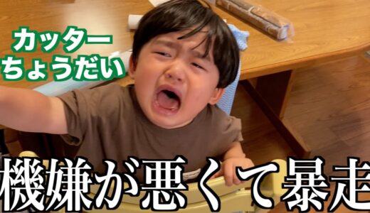 やる気のない三兄弟と必死に頑張るパパのギャップが面白すぎるｗｗｗ｜DIYに初挑戦！！