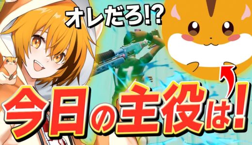 18歳の誕生日に「なぜか相棒のはむぼん」に主役を奪われる、はむっぴww【フォートナイト/Fortnite】