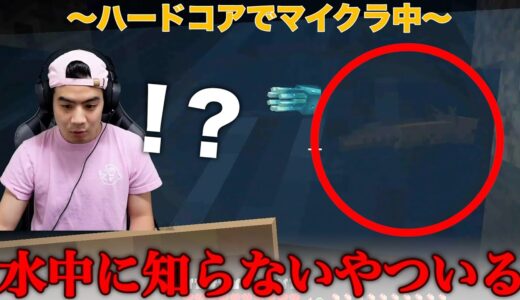 【マイクラ#2】ハードコアで洞窟探検してたら謎のモブに遭遇しました【恐怖】