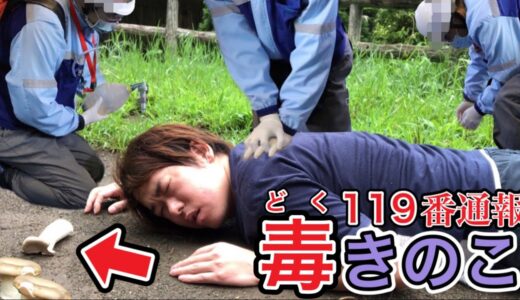 【閲覧注意】公園に生えてるキノコを食べたら毒キノコで救急車を呼びました…