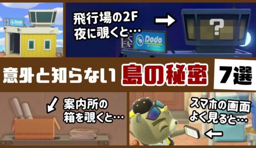 【あつ森】意外と知らない！島に隠れた細かすぎる小ネタ集＆秘密の隠しネタ7選！【あつまれ どうぶつの森】@レウンGameTV
