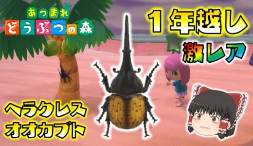 【あつ森】１年越しに激レアのヘラクレスオオカブトを絶対捕まえるぞ！ゆっくり達のあつまれどうぶつの森 part45