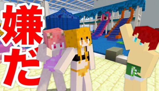 【マインクラフト】こんなプールは嫌だ