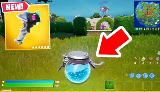 こんなのあり！？変なものに変身しちゃった！！【フォートナイト / Fortnite】