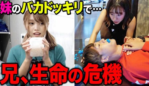 【逆ドッキリ】偏差値2の妹が仕掛けるしょうもないドッキリで兄の生命の危機が訪れるドッキリが面白すぎたwwwww