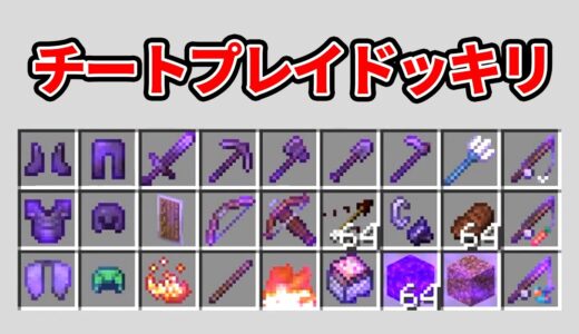 チートしまくりのプレイでエンドラ討伐してもバレない説【マイクラ】