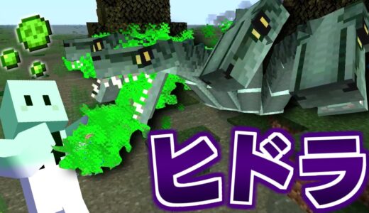【マイクラ】ドラゴンだらけの世界で全てのドラゴンを飼いならす #5 ヒドラの回復能力がチートすぎる【マインクラフト】