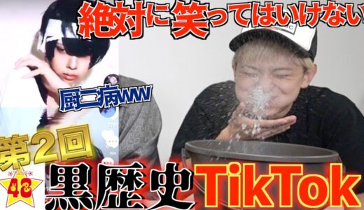 【プライベート大流出】大人気企画！！絶対に笑ってはいけない黒歴史Tik Tok！！【第2回】