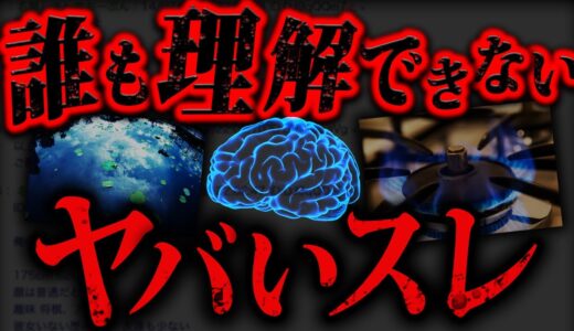 【衝撃のラスト】2chで最も’狂った’スレ「消えたとてうかぶもの・？」
