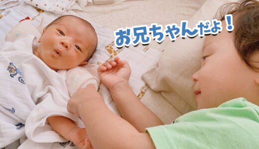 【今週のうたくん】ぼくお兄ちゃんになったよ！
