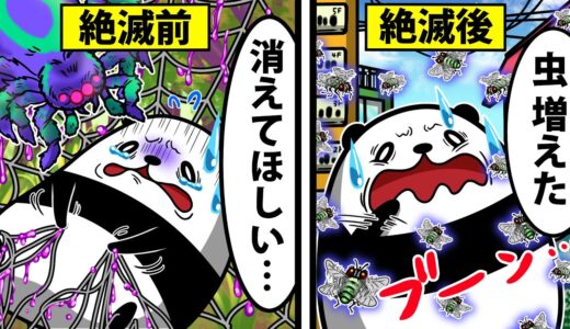 【アニメ】蜘蛛が絶滅するとどうなるのか？