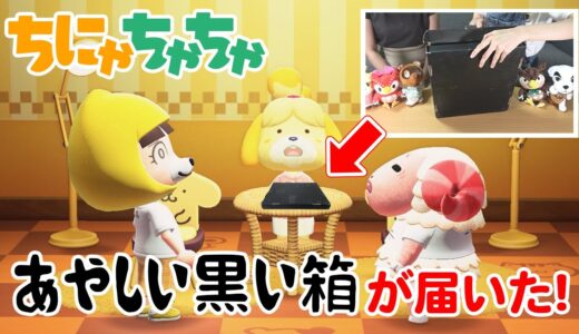 【あつ森アニメ×実写】あやしい黒い箱が届いたので開封します！！！【ちにゃちゃちゃYouTube】