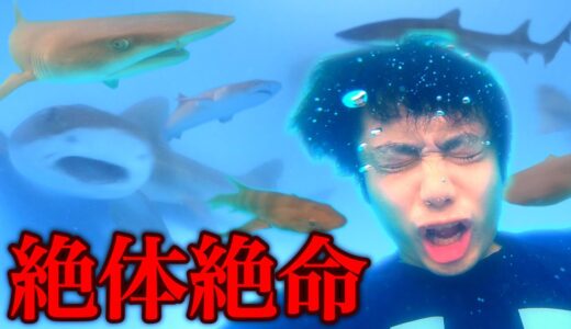 【危険】サメだらけのプールの中に突き落としてみたらパニックになった！？Many sharks are swimming prank in the pool